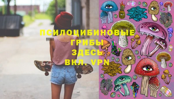 СК Алексин