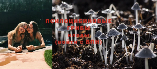 твердый Алексеевка