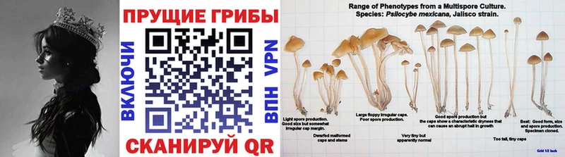 Псилоцибиновые грибы Magic Shrooms  Еманжелинск 